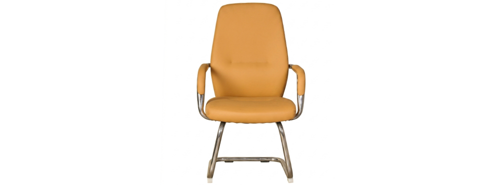 Conference Chair