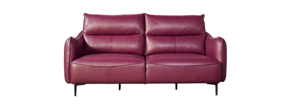2 seater leather Sofa